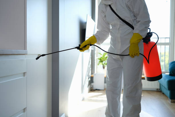 Best Local Mold Removal Service  in Rome City, IN