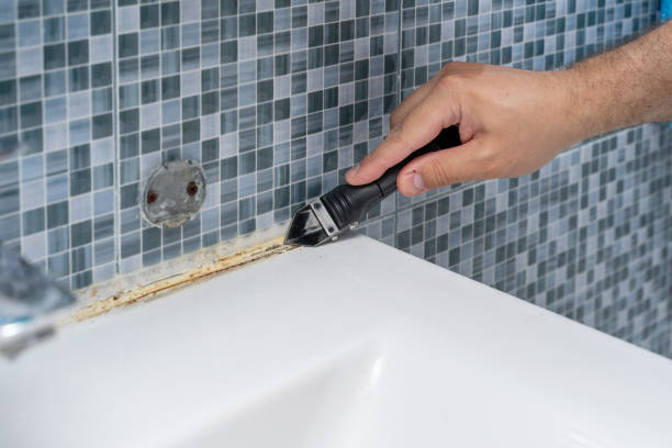 Best Commercial Mold Removal  in Rome City, IN