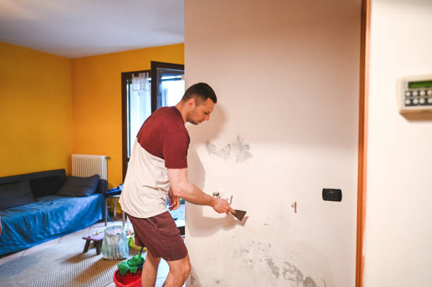 Best Best Mold Removal Companies  in Rome City, IN